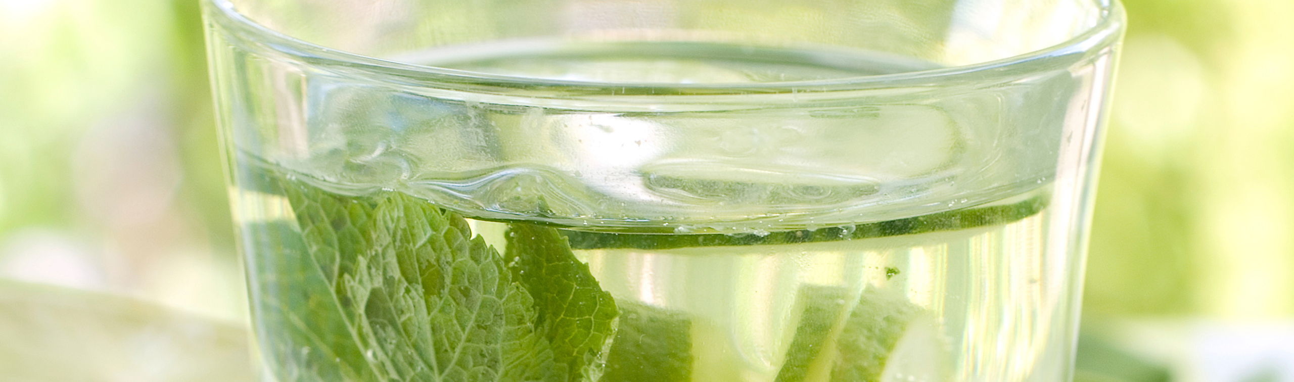 Cucumber Mint Infused Water - Love of Food