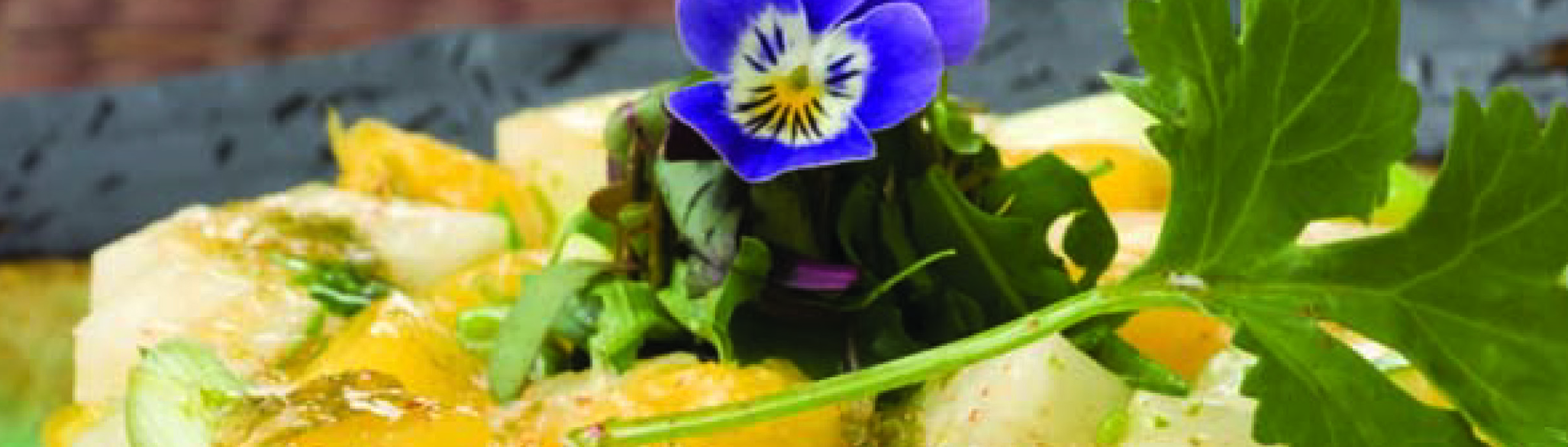 Jicama Mango Salad - Love of Food